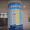 잘될놈 | 울산 울주군 서생면 간절곶 관광 회센터 내돈내산 이용 후기 (feat. 광어회, 멍게, 해삼의 조합)