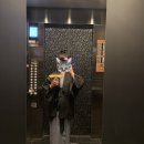 소현세탁 | [APA호텔] 일본 도쿄 APA호텔 롯폰기 에키히가시 추천 도쿄타워 대욕장 수영장 후기 도쿄타워보이는 호텔