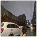 평화롭게 지낸 설 연휴 [2.5~2.11]