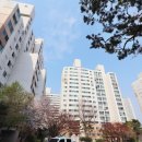 금호114공인중개사사무소 네이버블로그