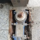 신일치과의원 이미지