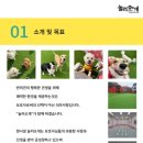 놀러오개 애견유치원 애견호텔 이미지