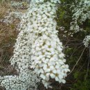 솔샘농장 이미지