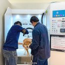 미용하개 이미지