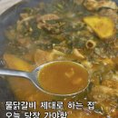 텃밭에노는닭 | 삼척 물닭갈비 맛집 텃밭에 노는 닭