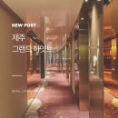그랜드하얏트제주 | 제주그랜드하얏트 숙박 후기 65제곱미터 킹룸 객실 뷰 클럽라운지 이용기