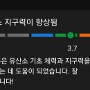 워크아웃플랜