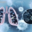 포항본365의원 이미지