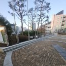 나무벤치 이미지