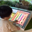 제주유아교육진흥원 | 키즈카페보다 재밌는 부산 다대포 유아교육진흥원 토요가족체험 온누리 예약&amp;후기