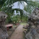 낭커피(NANG COFFEE) 이미지