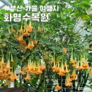 화명수목원관리사업소 | 부산 가을 여행지 화명수목원 단풍을 기대하게하는 피크닉 장소