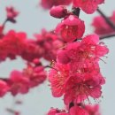 위아, LG전자, TKG휴켐스, 두산퓨얼셀, 한국콜마, 보령, 오리온, 삼성SDI, 와이지엔터테인먼트...