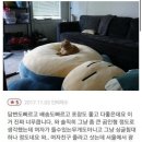 큰 잠만보 인형 후기 이미지