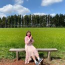 제주 와일드 | 와일드오차드 청초밭 제주 위치 주차 가격 방문 후기