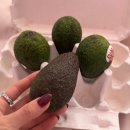 GS25 뉴꽃바위점 이미지