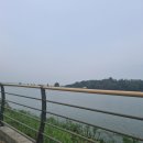 나홀로 산책하다 이미지