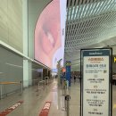 H8036 | 인천공항 제2터미널 마티나 라운지 후기｜252게이트 근처 혼자 해외출장 전 필수코스