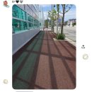 파이브몬스터 | [ON] 온 러닝화 추천 클라우드몬스터3 블랙 285 착샷 후기 레이스먼트 해운대 사이즈 추천