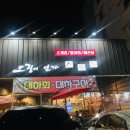 오징어연가 이미지