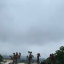 텐타우스