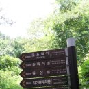 금강카 네이버블로그