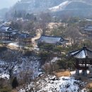 테마찜질방 헤럴드경제