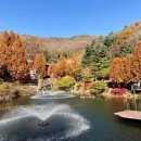 광주운수노동조합 | 화담숲 안 식당 번지없는주막(운수휴당) 가성비 없는 미친 뷰 맛집 아기랑 방문 ft. 위치 웨이팅 메뉴...