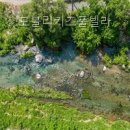 모블리펜션 | 모블리키즈풀빌라 가족과 반려견을 위한 조건