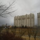 포항시남구5 이미지