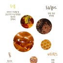메디시나 이미지