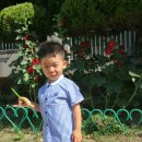 옥동예은유치원 이미지