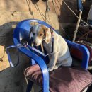 강철농장 이미지