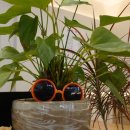 해정해장국 이미지