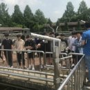 청평공공하수처리장 티스토리