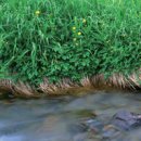 대림개발(주) 이미지