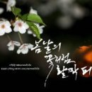 봄날 이미지