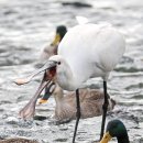 공릉천변 이미지