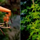 염북마을회관 이미지