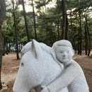 2024년 8월 둘째주 일기 #강릉여행 5일 코스