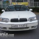 520 Daum카페
