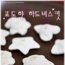 비스킷 이미지
