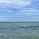 노마드인 강릉 이미지