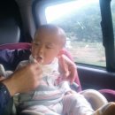 사선대마트 이미지