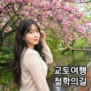 스튜디오와비사비 | 교토 철학의길 은각사 난젠지 산책코스 카페 맛집 가는법 총정리