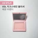 VDL 치크스테인 블러셔 신상 레몬 라벤더 내돈내산 후기! 모브헤이즈 비교 (쿨톤 블러셔 추천)