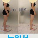 블리스 컨설팅