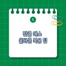에스 이미지