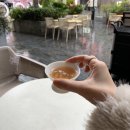 대한민국 아파트의 역사 | 자유여행 기록 (헤이티, 콘래드상하이, 우캉멘션, RAC, 대한민국임시정부, 사계민복, 예원, 와이탄)