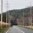 서부해안로(쉬미항) 이미지